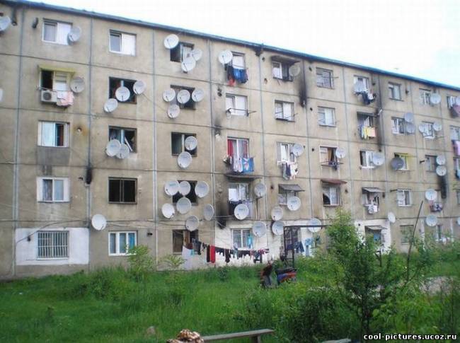 Много тарелок