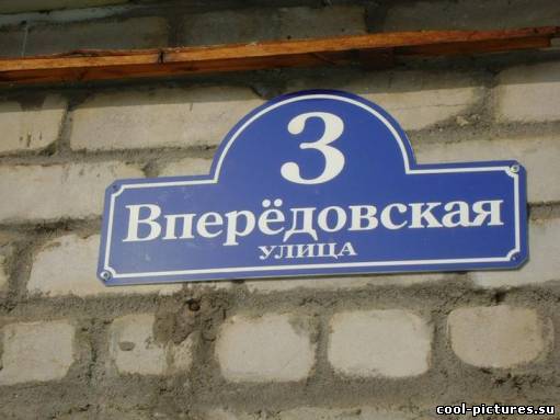Фото ни шагу назад!