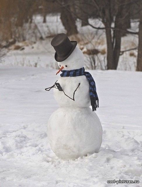 Современный снеговик