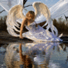 Анимация ангел над водой