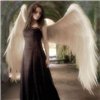Черный ангел с белыми крыльями для авы