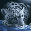 Прикольный анимированный тигр