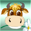 Корова жует цветок