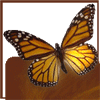 Анимированные картинки бабочки