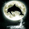 Аватарка дельфин под анимированная
