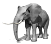 Аватарка 3Д слон