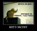 Месть кота