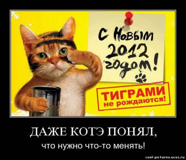 Демотиватор 2012