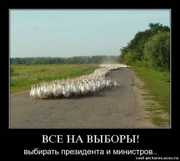 Демотиватор выборы
