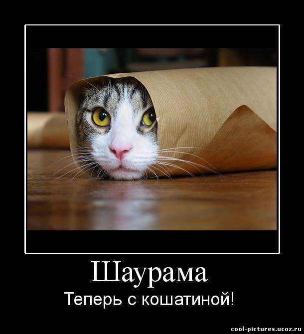 Котє шаурма
