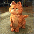 Аватарка кота Гарфилда