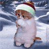 Котенок на снегу