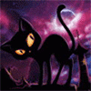 Черный кот - красивая анимация для авы