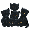 Черные котята на аву