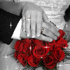 Руки, розы, влюбленные