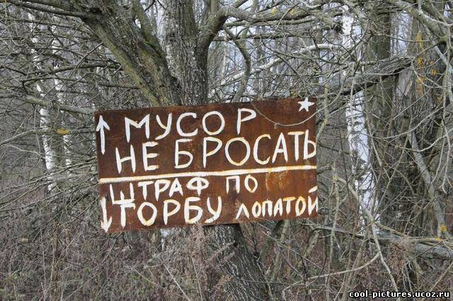 Мусор не бросать штраф