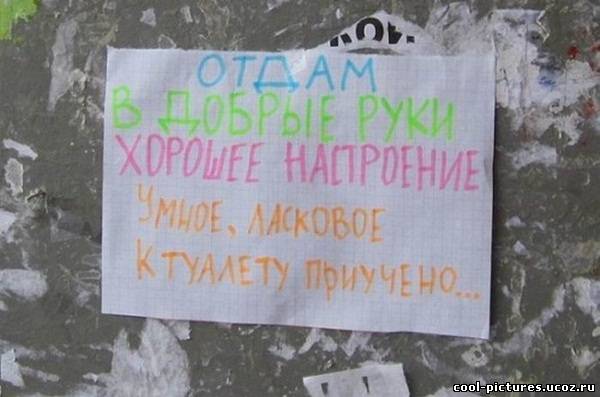 Объявление отдам в хорошие руки