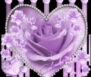 Фиолетовая роза в сердце