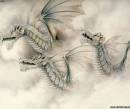 Красивые рисунки драконов