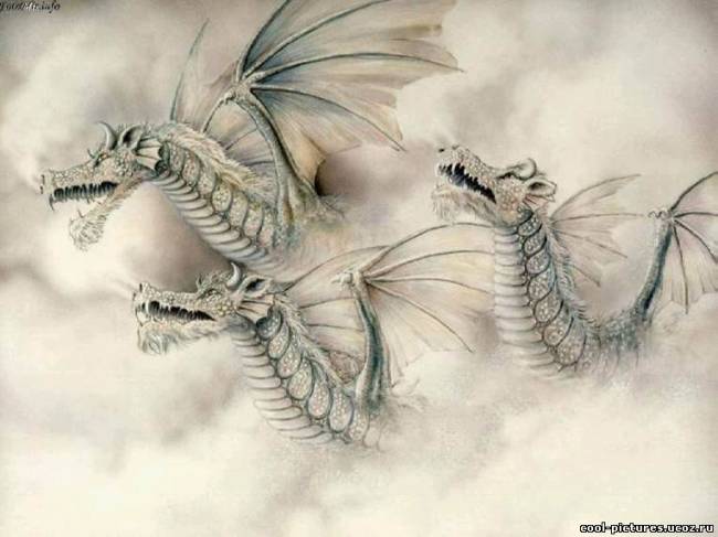 Красивые рисунки драконов