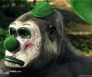 Фото гориллы клоуна