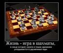 Жизнь - это игра в шахматы