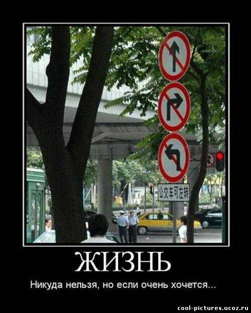 Прикол про дорожные знаки