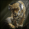 Музыкальный тигр