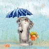 Кот под зонтом, осенний дождь