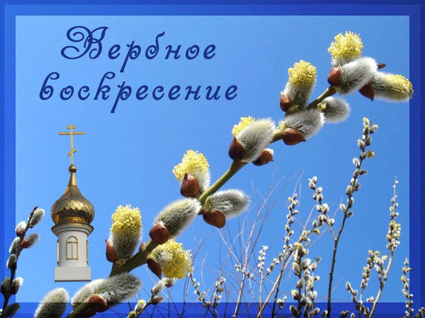 Веточка вербы на фоне церкви