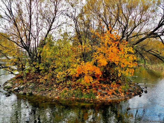 Фото осенняя природа