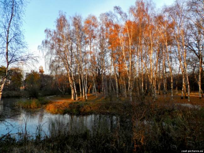 Время года про осень