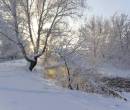 Река, зима, снег, дерево