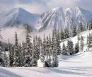 Зимняя природа в горах