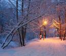 Фото ночная зима