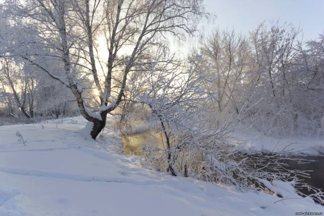 Река, зима, снег, дерево