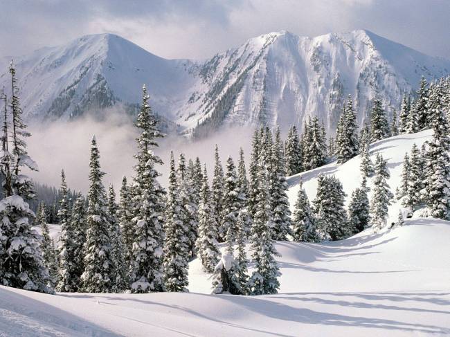 Зимняя природа в горах