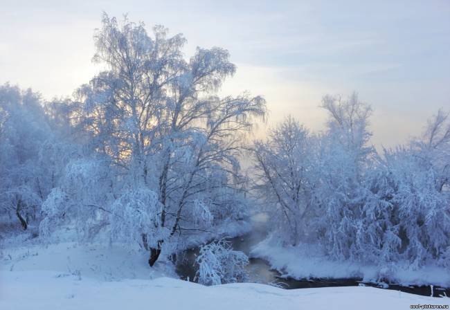 Вечерняя зима, снег, природа