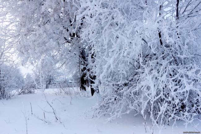 Фото зимушка зима