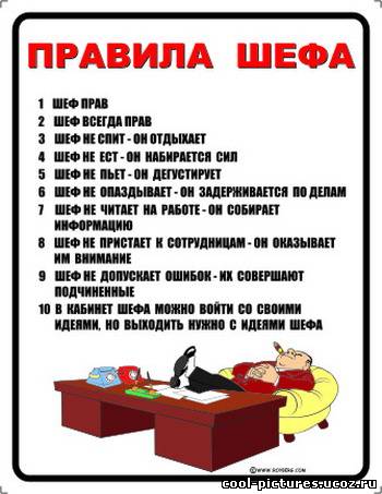 Правила шефа