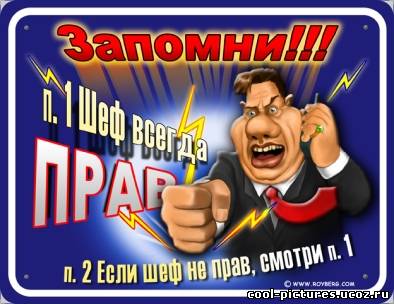 Шеф всегда прав