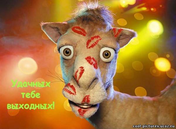 Пожелания хороших выходных