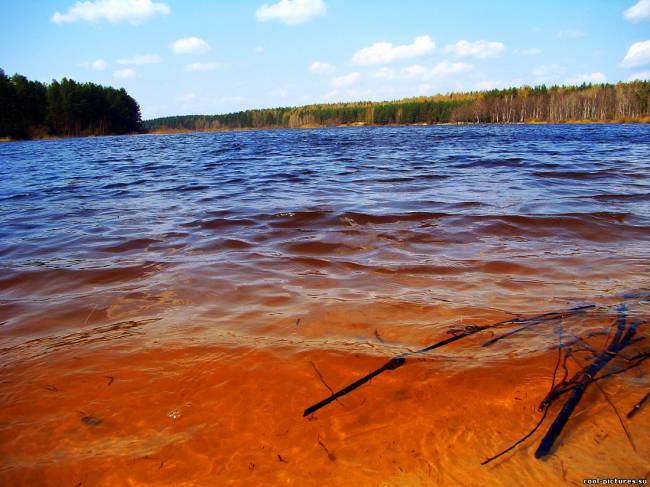 Вода, кругом вода...