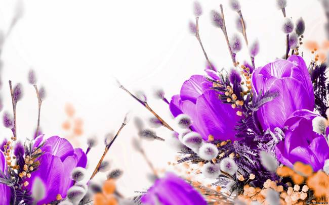 Фиолетовые тюльпаны, верба, букет