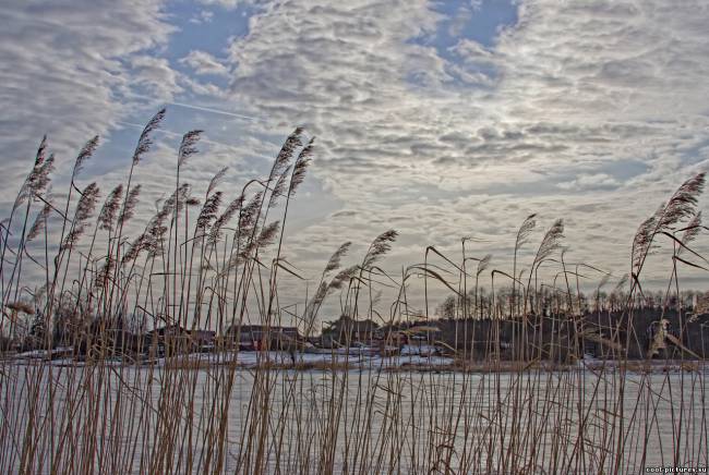 Весенний вечер