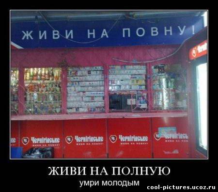 Живи на полную