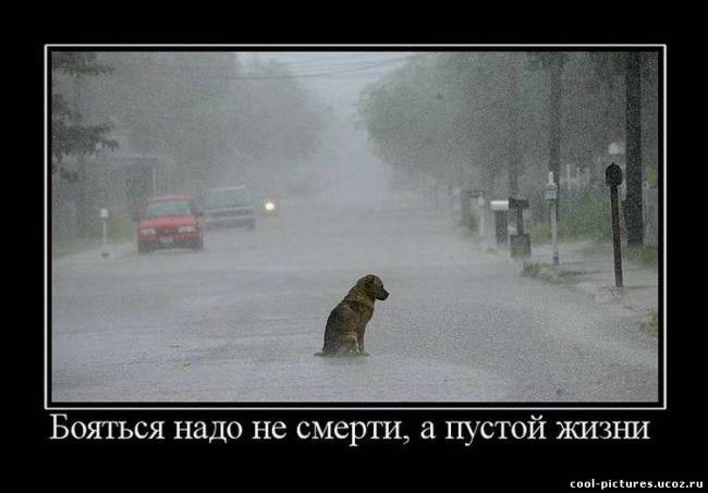 Бояться надо не смерти