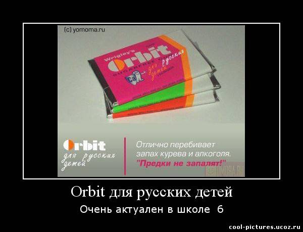 www demotivators