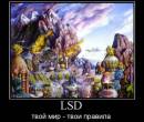 Мир LSD