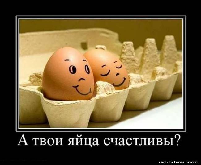Счастливые яйца